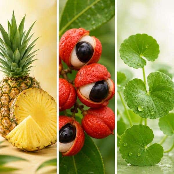 Ananas, frutti di lychee e foglie di piante aromatiche verdi.