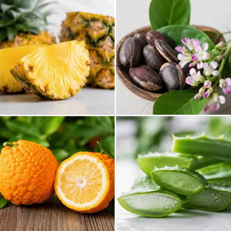 Varietà di frutta e piante medicinali naturali per il benessere.